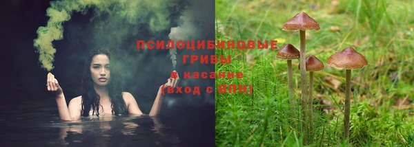 молекула духа Магас