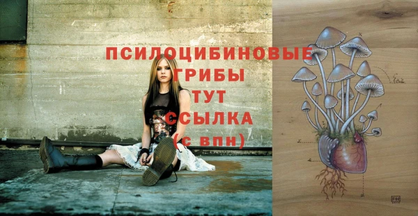 СК Мегион