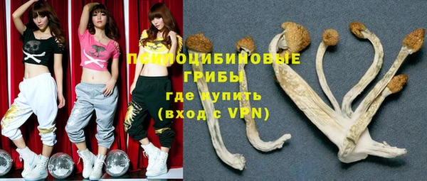 СК Мегион