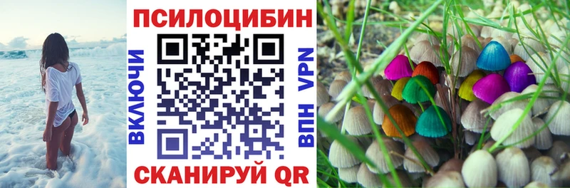 Псилоцибиновые грибы MAGIC MUSHROOMS  Торопец 